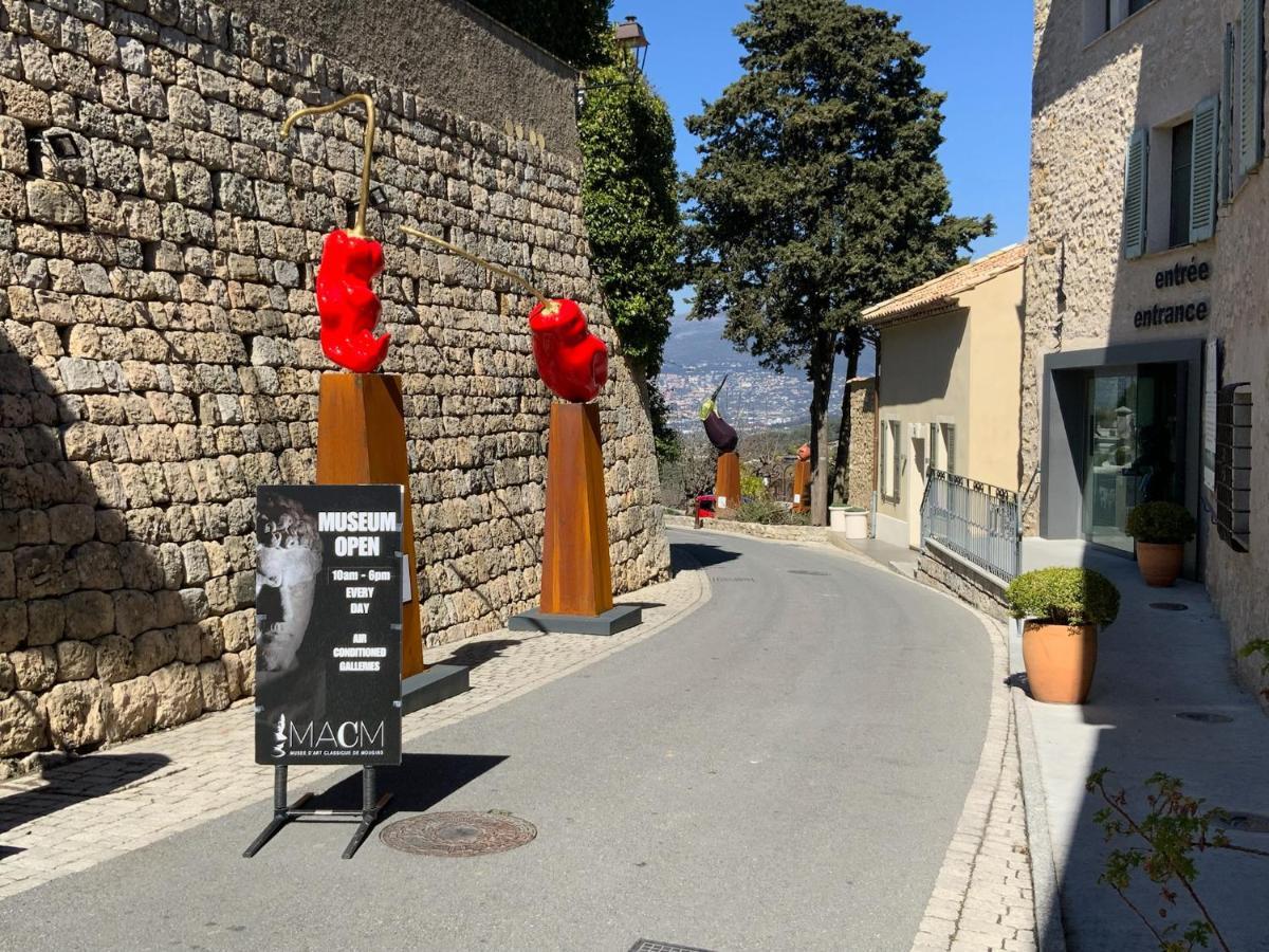 Mougins Collection - Magnifique Maison Au Coeur Du Vieux Village De Mougins, Vue Sur Les Alpes Du Sud エクステリア 写真